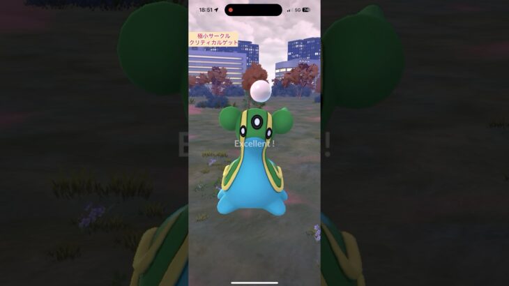 【難易度中】トリトドン極小サークルクリティカルゲット【ポケモンGO】