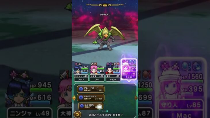 【#ドラクエウォーク】鉄壁の守り人