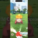 ✨WOW! WILD SHINY CROCALOR CAUGHT in Pokemon Go!✨ #shorts #pokemon