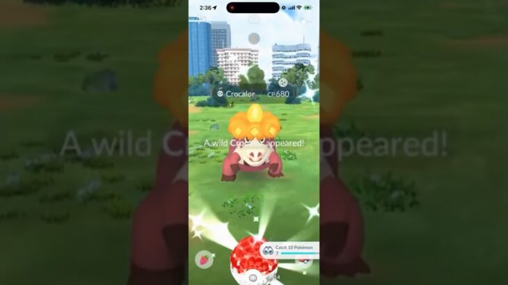 ✨WOW! WILD SHINY CROCALOR CAUGHT in Pokemon Go!✨ #shorts #pokemon