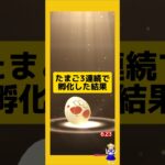 3連続でたまご孵化した結果！色違いゲット〜#ポケモンgo #色違いポケモン