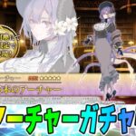 【FGO】「終末のアーチャー」のガチャ引いて性能確認＆再臨チェック！
