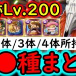 [トレクル]海賊王への軌跡VSロード! Lv.200! ルフィ含む特効2体/3体/4体所持の方へ! 代用可能そうな周回編成 [バトルマス1桁固定で全3戦OK][PKA][OPTC]