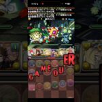 ワクワクを返せ！！【パズドラ】