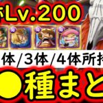 [トレクル/概要欄訂正あり]海賊王への軌跡VSロード! Lv.200! 特効2体/3体/4体所持の方へ! 代用可能そうな周回編成 [バトルマス1桁固定で全3戦OK][PKA][OPTC]