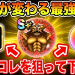 【ドラクエウォーク】今が一番重要…世界が変わる最強性能です!! 次はコレを狙って下さい!!【DQW】