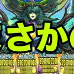 大樹チャレンジ、環境最強のラインハルトで初見プレイ【パズドラ】
