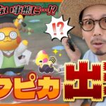 【ポケモンGO】ドクターがドクターピカチュウをゲットしたら大変なことになりました。【スパークの育て方探求】