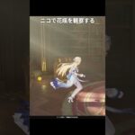 ニコがいないと入手できない宝箱 | 原神