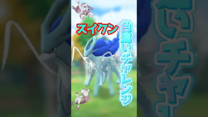 【ポケモンGO】毎月恒例リワード色違いチャレンジ！goフェスも近いしポケカも熱いしポケモン最高！