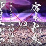 【FGO】ステンノ様と行くアサシン・パライソ戦【下総国】