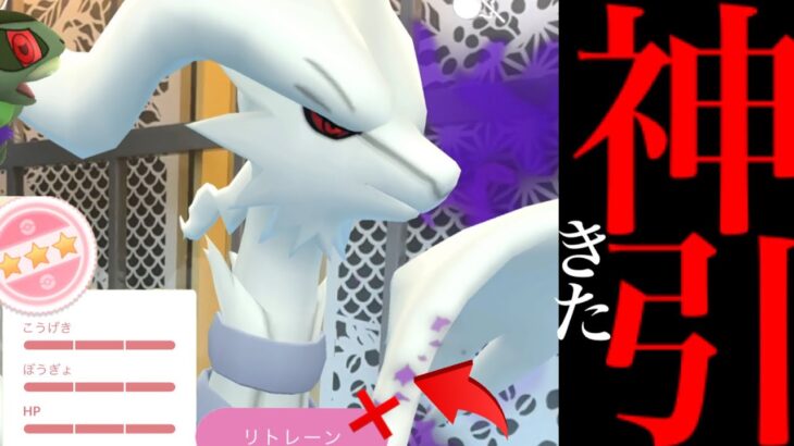 【衝撃の出来事⚠️】、、、あ、ありえないことが起きた！？【ポケモンGO・シャドウレシラム・サカキ・PL50火力検証・Shadow Reshiram・Pokémon GO】
