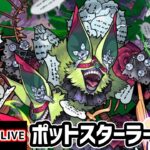 【🔴モンストライブ】新轟絶『ポットスターラー』を生放送で攻略！【けーどら】