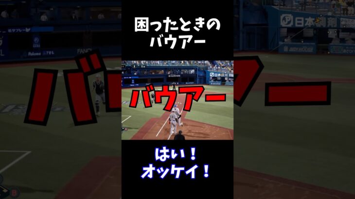 困ったときのバウアー