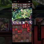 浮遊ならなぁ…【パズドラ】