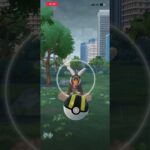 ポケモンgoメガエアームドプレイ神引きした