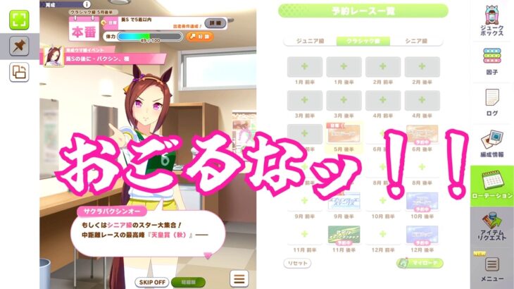 #3[ウマ娘プリティーダービー]サクラバクシンオー育成、クラシック級。[kikkun]
