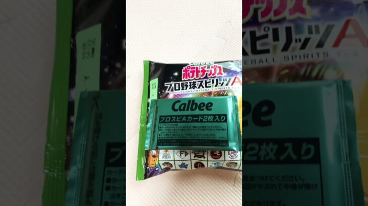 260626 ポテトチップスうす塩味プロ野球スピリッツA