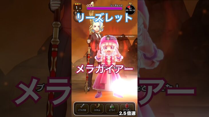 リーズレット メラガイアー, いてつくはどう, ダーマの祈り【ドラクエウォーク】