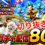 【ドラクエウォーク】ライブ配信での初ガチャでどうなる！？相棒カミュ装備80連　　#dqw #dqウォーク #相棒カミュ #40周年 #デュアルブレイカー #ガチャ #ふくびき