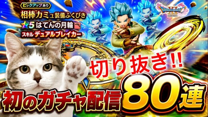 【ドラクエウォーク】ライブ配信での初ガチャでどうなる！？相棒カミュ装備80連　　#dqw #dqウォーク #相棒カミュ #40周年 #デュアルブレイカー #ガチャ #ふくびき