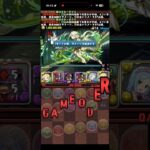いっぱいあるのに！！【パズドラ】