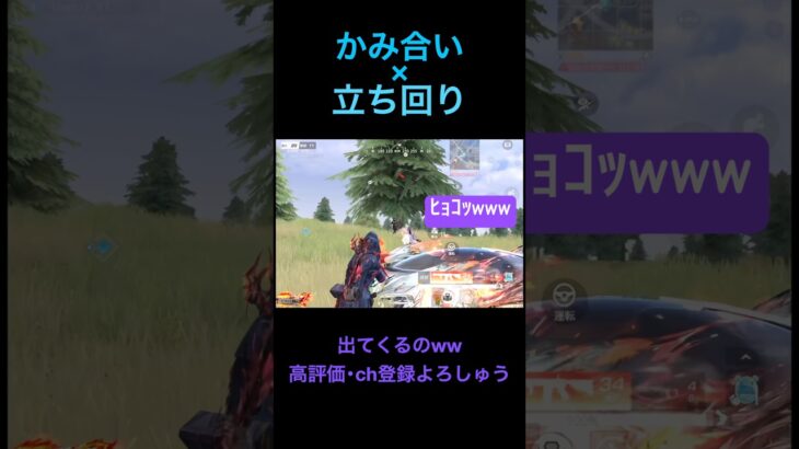 凸る時はSGを持て🫵【荒野行動】#荒野行動 #クリップ #キル集