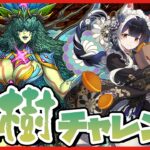 【パズドラ】『大樹』チャレンジを俺の嫁「ミナカ」染めドラゴン縛りでクリアできるのか！？ #shorts #パズドラ #ドラゴン縛り