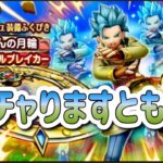 ガチャります！月輪になります！【ドラゴンクエストウォーク】