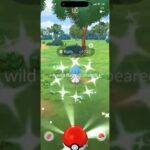 ✨I Found THIS SHINY POKEMON While Reading CHAT in Pokemon Go!✨ #shorts #pokemon