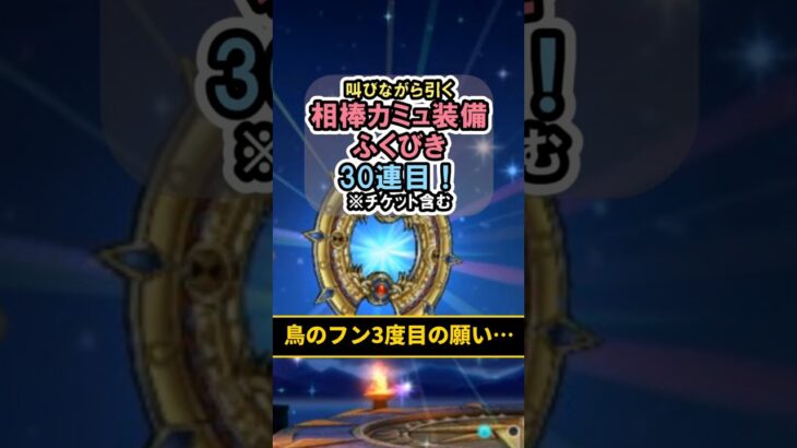 【ドラクエウォーク/ガチャ】相棒カミュ装備ふくびき30連目…鳥のフン3度目の願い…【DQWalk/はてんの月輪】#shorts #ドラクエウォーク #3