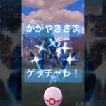 【伝説レイド】色違いのネクロズマげっとちゃれんじ！ #ポケモンgo #pokemongo