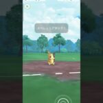 【ポケモンGO】モルペコの高火力がぶっ刺さる！（4/5）