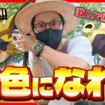 【ポケモンGO】覚悟してください・・・色違いブロロン・・・７kmタマゴの闇を暴きます。メガエアームドが初登場するので今から予定を調整しておくべし！！【スパークの育て方探求】