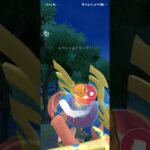 ポケモンGOバトルリーグ　マスターリーグ 2309