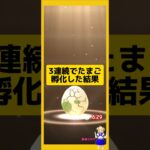 3連続のたまご孵化結果！歩いた成果は？#ポケモンgo