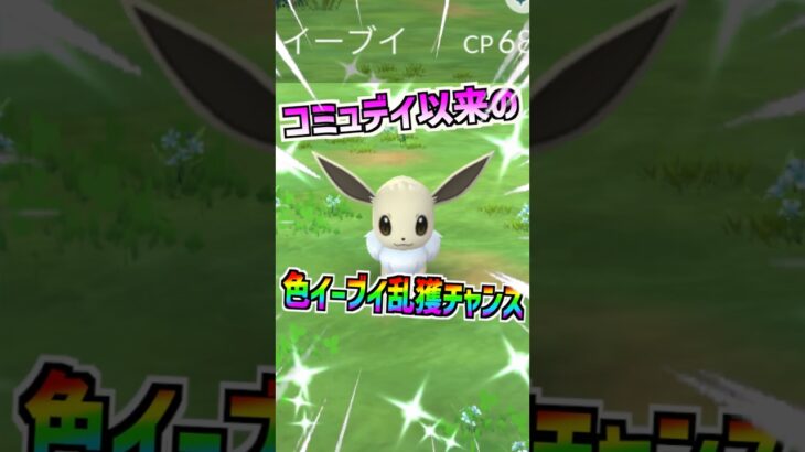 【ポケモンGO】イーブイが大量に乱獲できる⁉︎4ヶ月ぶりにスポットライトアワーが復活‼︎早速ガチです‼︎ #ポケモン #ポケモンgo #ポケgo #pokemon #pokemongo#shorts