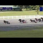 Memento Mori!! Mori! Mori! Mori!!! #mementomori #saratogaharness #harnessracing #horses #trotter