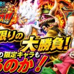 [トレクル]12周年俺たちのスゴフェス1回限りの大勝負！投票上位だけかと思ったがあの限定キャラ達もまさかの排出！[OPTC][12周年]