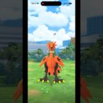 【ポケモンGO】ガラルサンダー降臨‼︎ グレートスローで捕獲できるのか⁈ おさんぽおこう