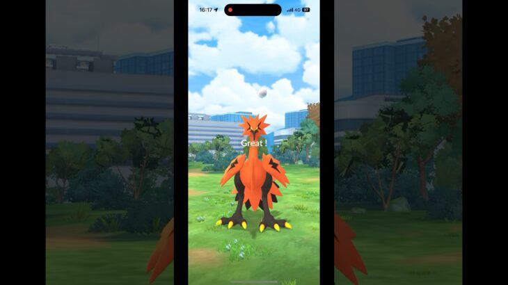 【ポケモンGO】ガラルサンダー降臨‼︎ グレートスローで捕獲できるのか⁈ おさんぽおこう