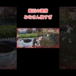 【#荒野行動】 強すぎ行動  #short #shorts