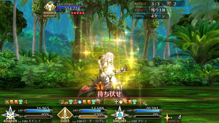 【FGO】ステンノ様と行くエルドラドのバーサーカー戦【アガルタ】