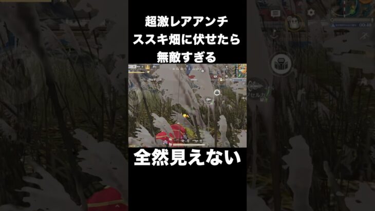 超激レアアンチのススキ畑が無敵過ぎる　#荒野行動