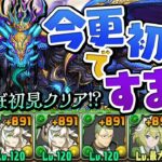 木属性メイド執事パで挑む霧雨チャレンジ(なんと初見)【パズドラ】