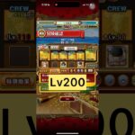 海賊王への軌跡VS ガープ Lv200[PKA][OPTC][トレクル]