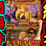 [トレクル]海賊祭スゴフェス! 連続「11回」酒場確定枠を外すわけなくない? さすがに当たりました!!!! [OPTC][sugo fest]