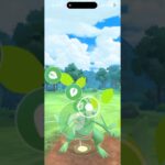 #ポケモンGO#PokemonGO#GOバトルリーグ#GBL#ポケモンGO対戦#shorts