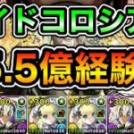 【パズドラ】メタトロン型！報酬確定！1周15.5億経験値！執事とメイドコロシアム！奉仕の心 ！1周3~4分台！ミナカ編成でランク上げ周回！