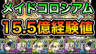 【パズドラ】メタトロン型！報酬確定！1周15.5億経験値！執事とメイドコロシアム！奉仕の心 ！1周3~4分台！ミナカ編成でランク上げ周回！